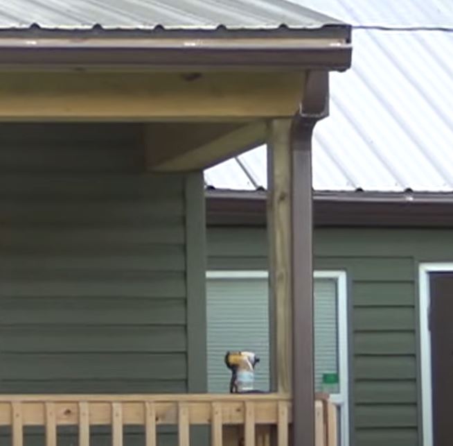 Seamless aluminum gutters on Arkansas home